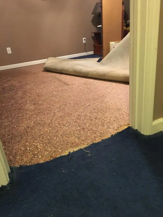Carpet pad removal revealing water damage during Water Mitigation Services in Monee