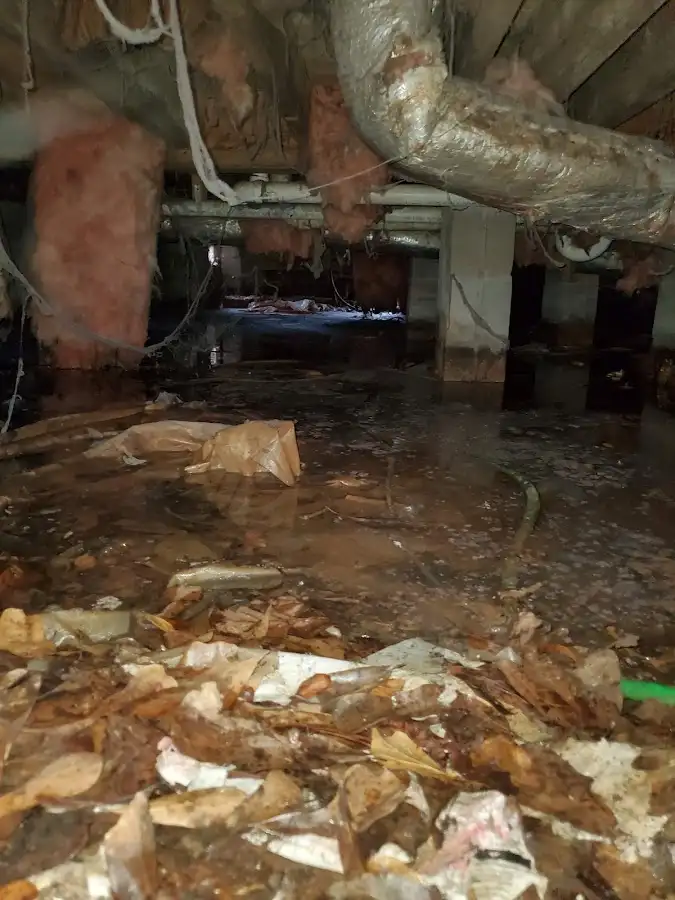 Crawl space flood assessment for Leak Detection & Repair in Monee